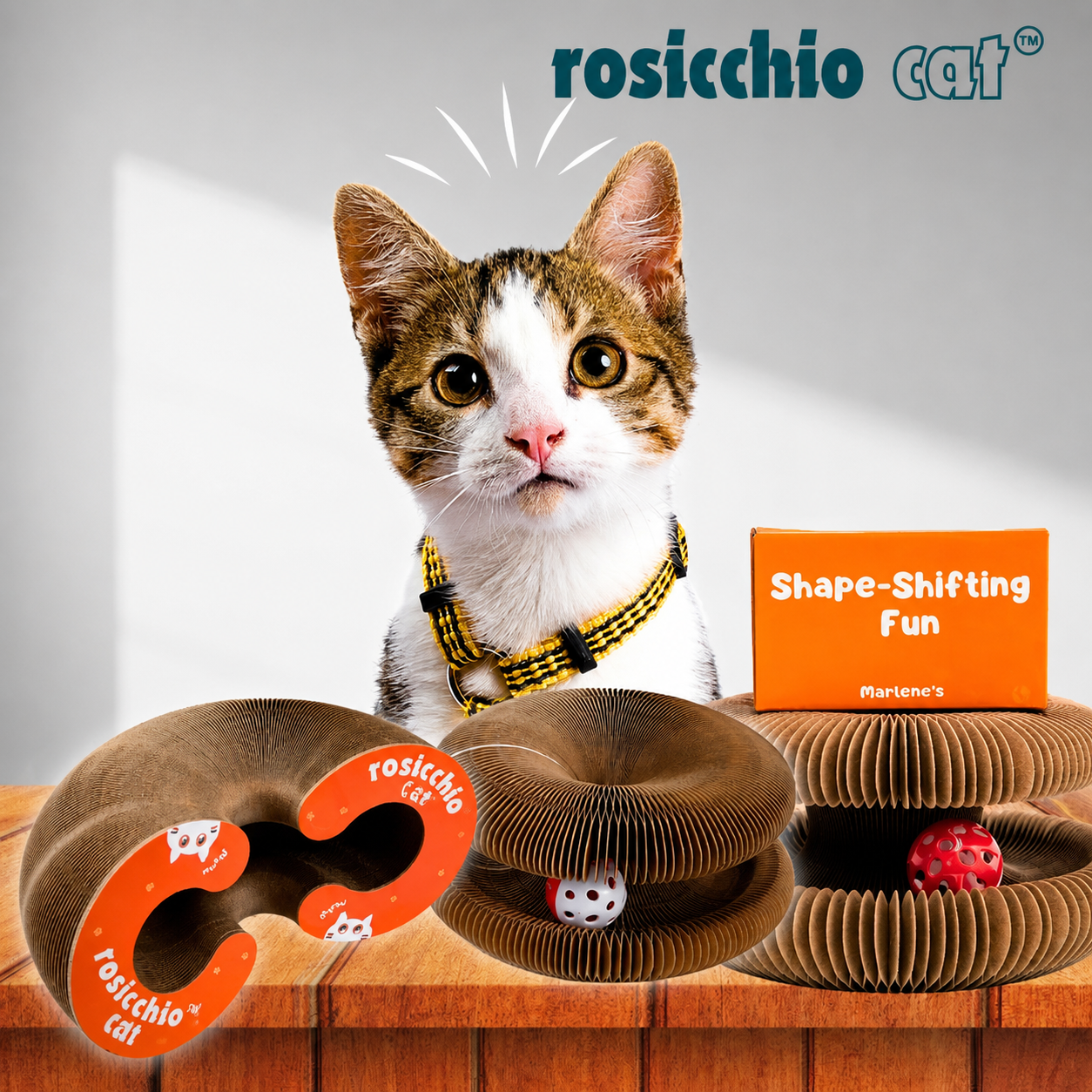 Rosicchio Cat — Gioco Interattivo e Grattatoio 4-in-1 per Gatti