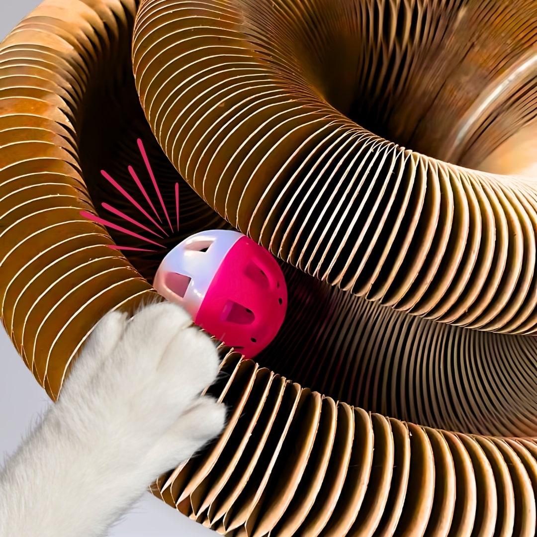 Rosicchio Cat: primo piano della spirale in cartone con pallina e campanellino mentre il gatto gioca